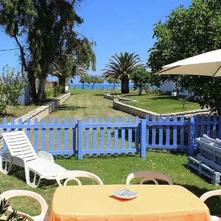 Corfu Sea Palm - Cfu02015-byb * Roda (Corfu)